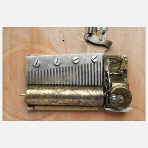 Außergewöhnliches Fotoalbum mit CDVs