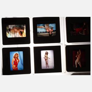 Konvolut Erotik-Dias