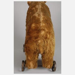 Steiff früher Nachzieh-Bär auf Metallrädern