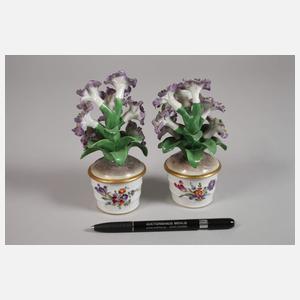 Paar Miniatur-Blumentöpfe als Tafelaufsatz