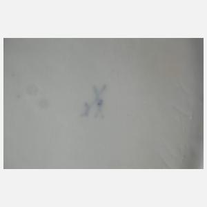 Meissen Prunkschale Vergissmeinnichtrelief