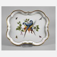 Meissen Tablett Vogel- und Insektenmalerei111