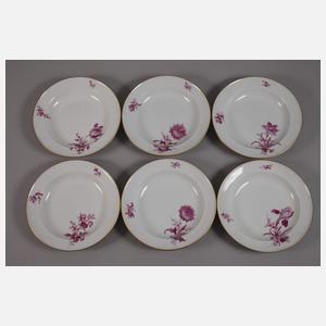 Meissen Speiseservice Purpurmalerei