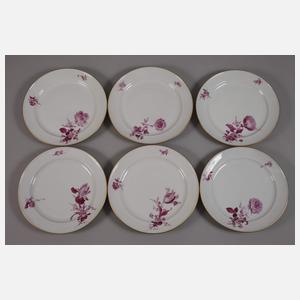Meissen Speiseservice Purpurmalerei