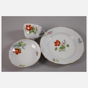 Meissen Konvolut Blumenmalerei