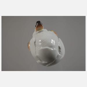 Meissen Schildkrötenbaby