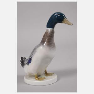 Rosenthal Konvolut Wildenten