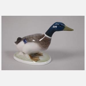 Rosenthal Konvolut Wildenten