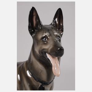 Thüringen Schäferhund und Eisvogel