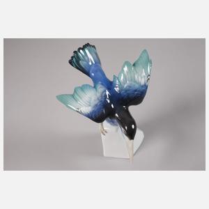 Thüringen Schäferhund und Eisvogel