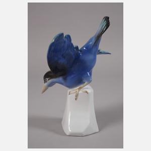 Thüringen Schäferhund und Eisvogel