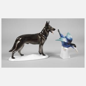 Thüringen Schäferhund und Eisvogel