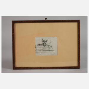 Adolf Stademann, Eselstudie