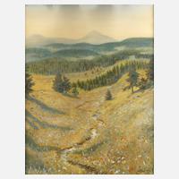 Walter Klemm, In Thüringen111