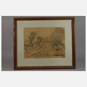 Kopfweiden an der Landstraße