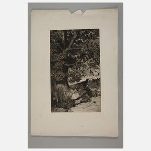 Max Klinger, Graphikkonvolut