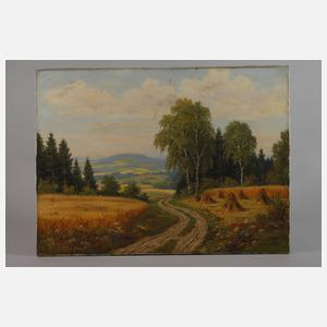 Martin Henschke, "Sommerliche Tracht im Vogtland"