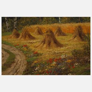 Martin Henschke, "Sommerliche Tracht im Vogtland"