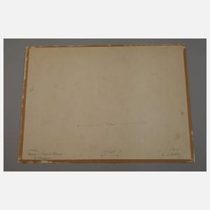 Georg Nerlich, Nelken, Chrysanthemen, Rittersporn