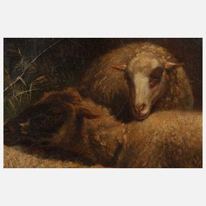 François-Alexandre Poncy, "Schafstudie"