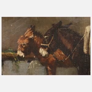 Zwei Esel vor der Scheune