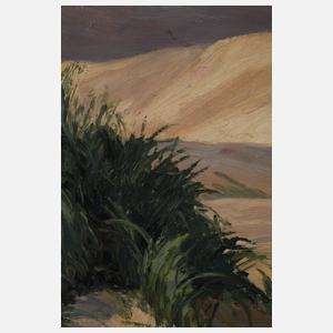 Elfriede Jungk, Winter in den Alpen