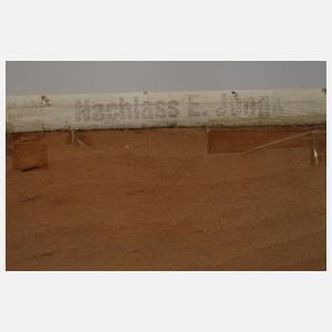 Elfriede Jungk, Winter in den Alpen