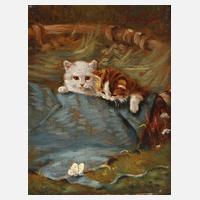 Benno Kögl, Katzenkinder111