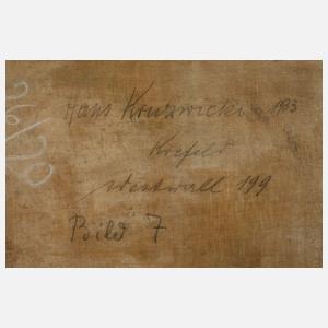 Hans Kruzwicki, Sommerblumen