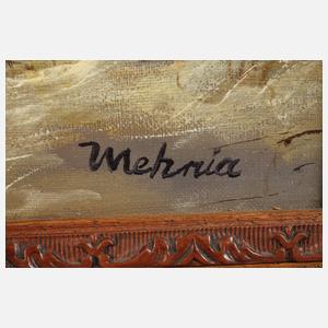 Winterabend am Fluss