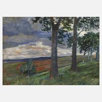 Hermann Paschold, »Stürmischer Tag«111