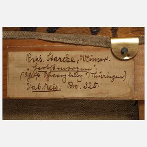 Richard Starcke, »Herbstmorgen« an der Schwarzburg