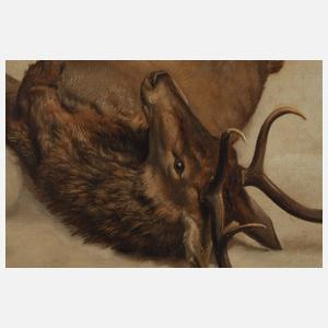 Erlegter Hirsch im Schnee