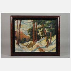 Winter in den Bergen