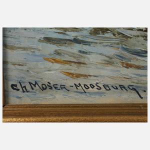 Moser-Moosburg, Imposante mediterrane Küstenpartie