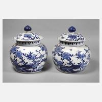 Paar Deckeltöpfe im Kangxi-Stil111