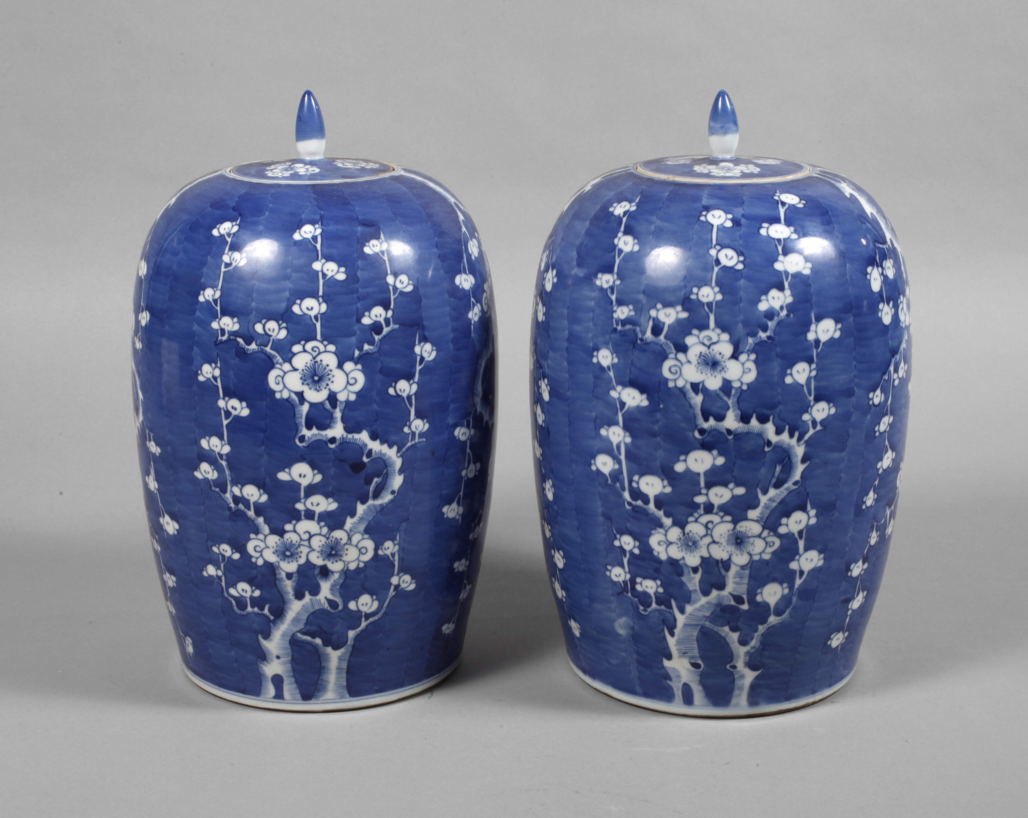 Paar schlanke Ingwertöpfe