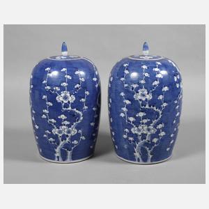 Paar schlanke Ingwertöpfe