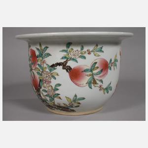 Paar Pfirsichbäumchen-Cachepots