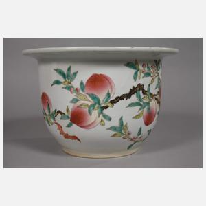 Paar Pfirsichbäumchen-Cachepots