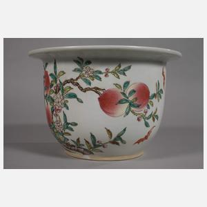 Paar Pfirsichbäumchen-Cachepots