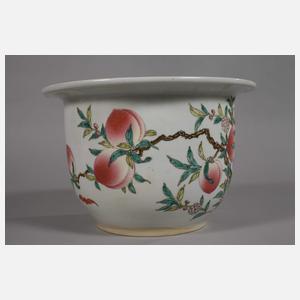 Paar Pfirsichbäumchen-Cachepots