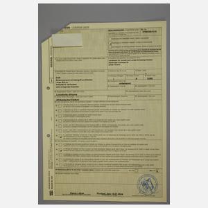 Spazierstock Elfenbein