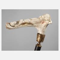 Spazierstock Erotika111