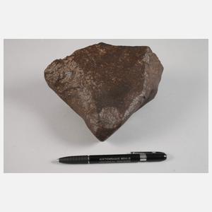 Großer Meteorit NWA