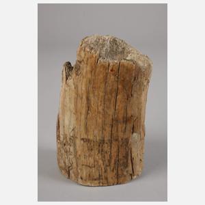 Versteinerungen und Feuersteinbeil