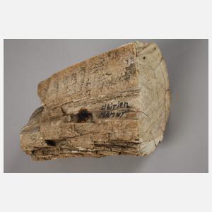 Versteinerungen und Feuersteinbeil