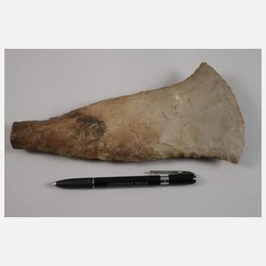 Versteinerungen und Feuersteinbeil