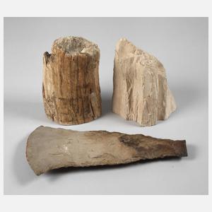 Versteinerungen und Feuersteinbeil