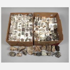 Umfangreiche Mineraliensammlung Odenwald